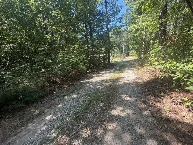 275 Thrill Hill Ln, Sparta, TN 38583 - #2