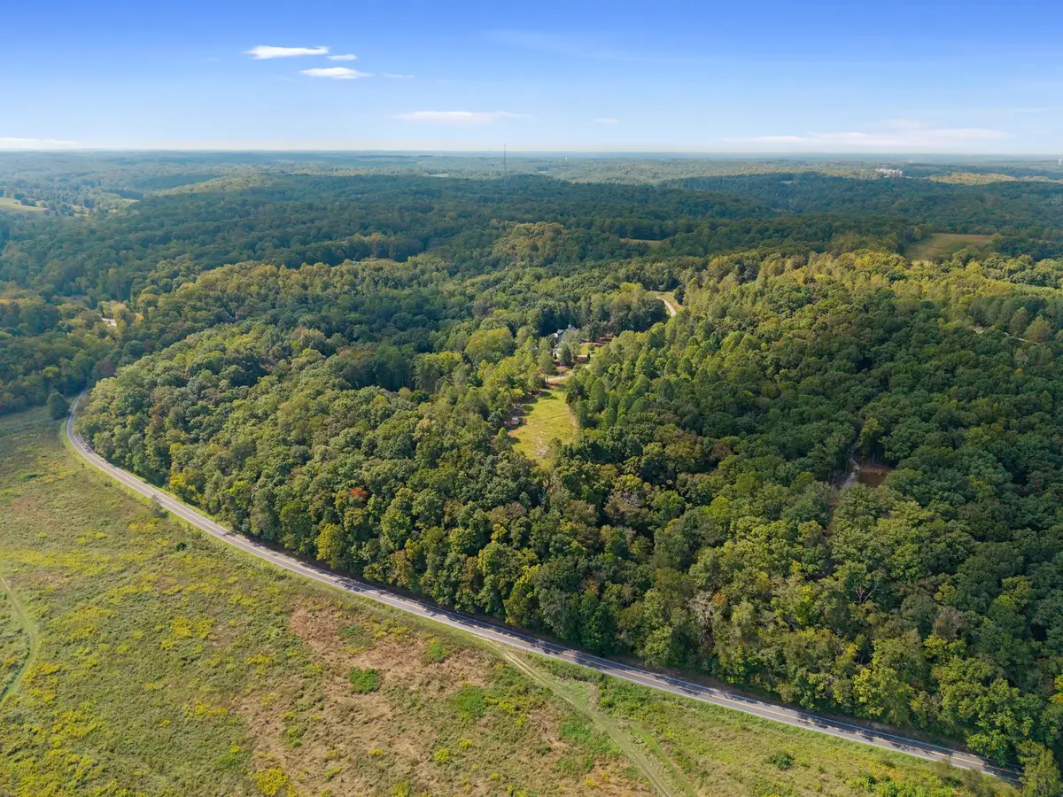 7131 Songbird Springs Lane, Franklin, TN 37064 - #1