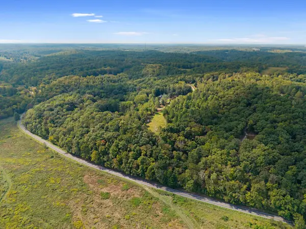 7131 Songbird Springs Lane, Franklin, TN 37064