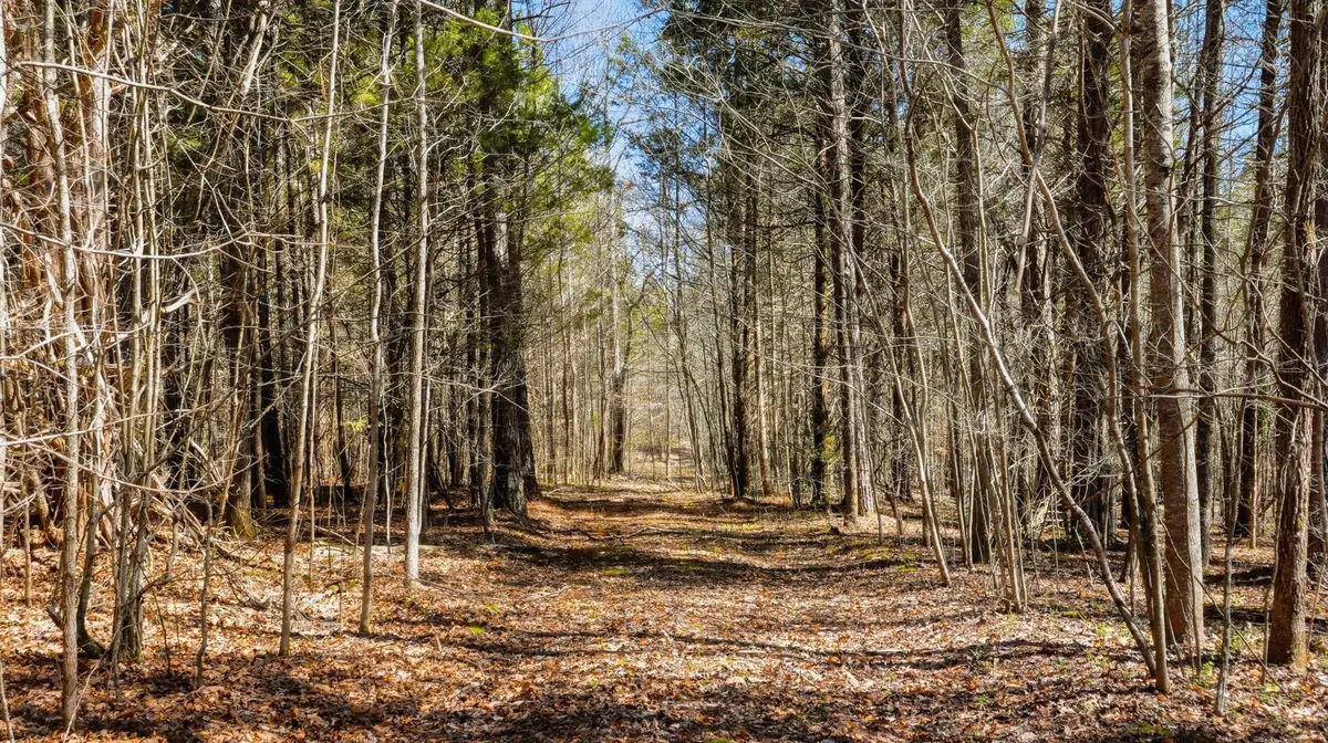 0 Fowler Rd, Beech Bluff, TN 38313 - #1