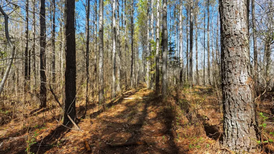 1 Fowler Rd, Beech Bluff, TN 38313 - #3
