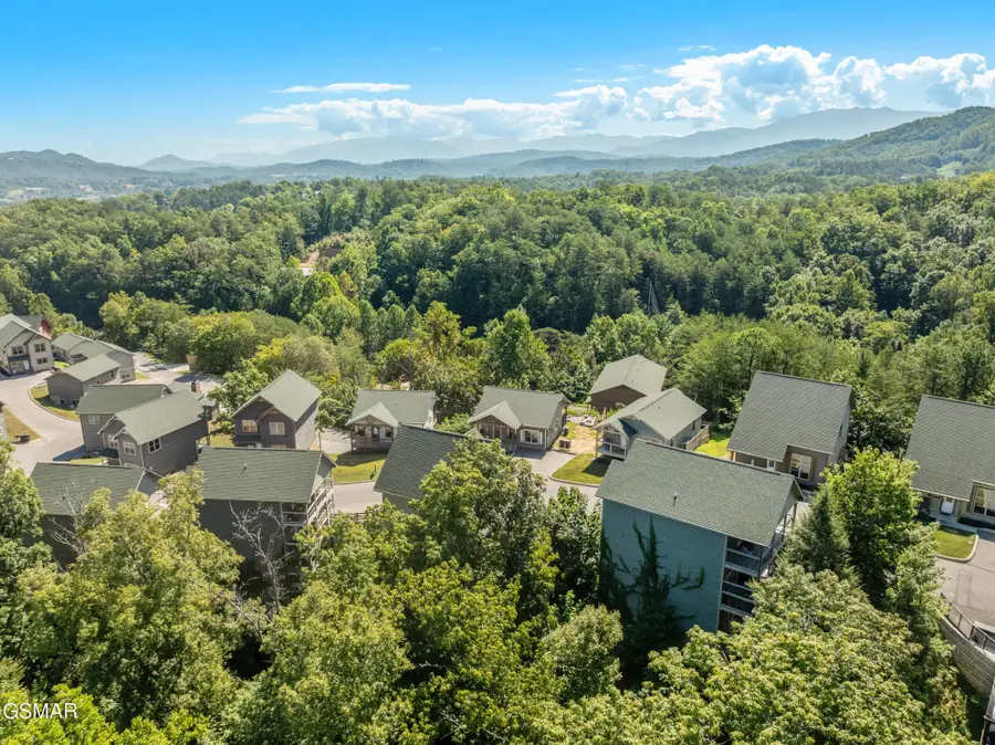 851 Osprey Way, Pigeon Forge, TN 37863 - #2