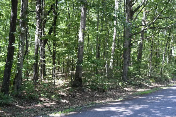 0 Lower Firetower Road, Sequatchie, TN 37374