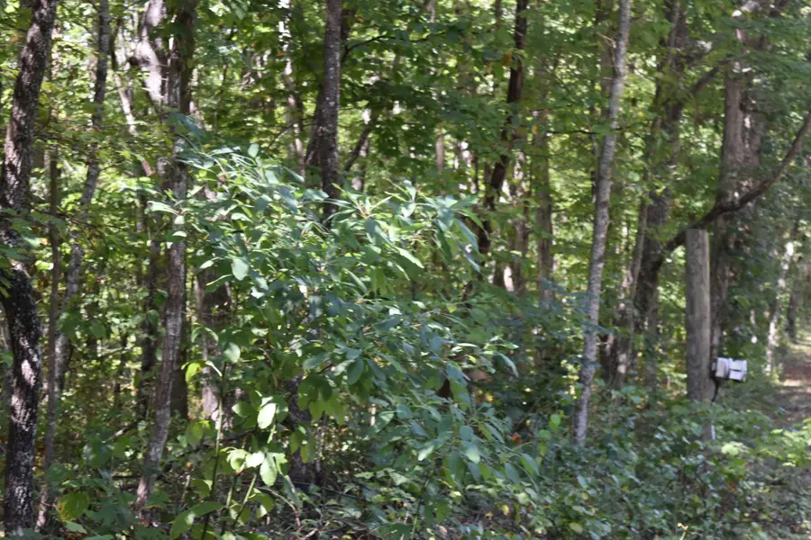 0 Lower Firetower Road, Sequatchie, TN 37374 - #2