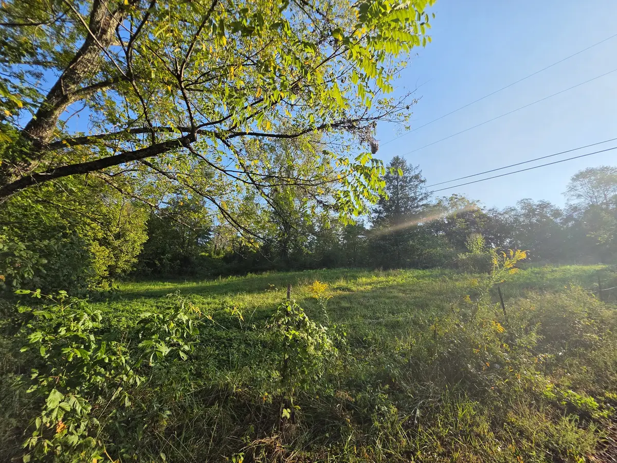 4 Rock Avenue, Palmer, TN 37365 - #1
