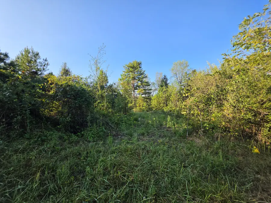 4 Rock Avenue, Palmer, TN 37365 - #2