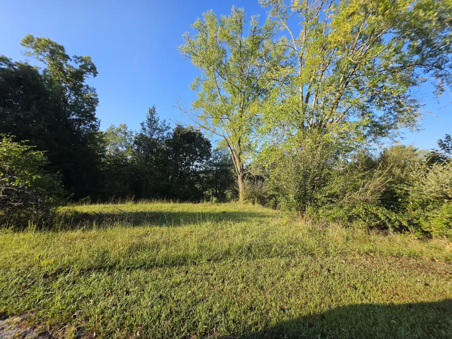 4 Rock Avenue, Palmer, TN 37365 - #3