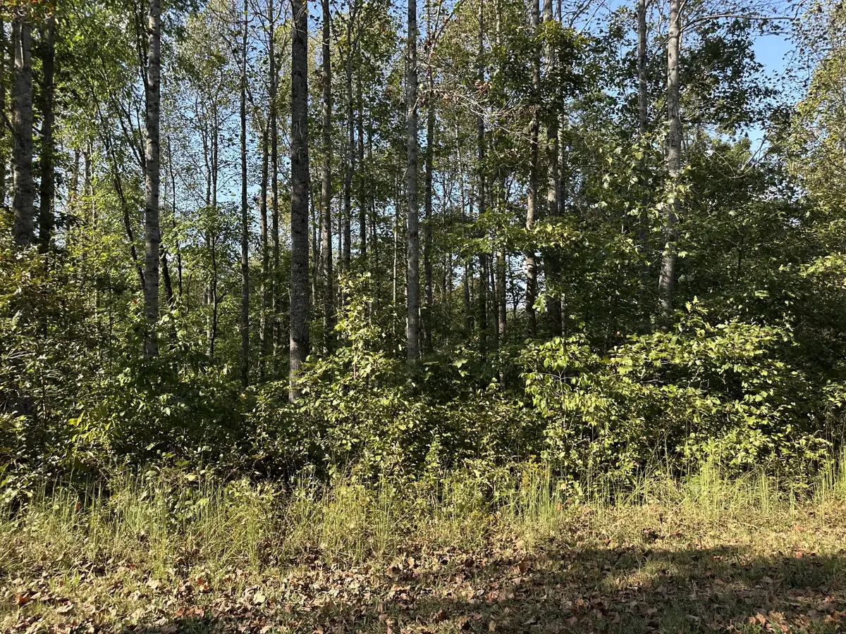 2100 Highway 13, Erin, TN 37061 - #1
