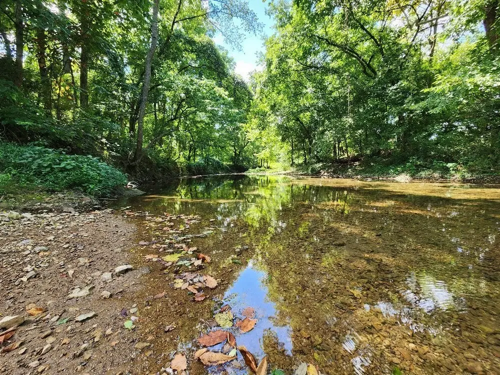0 Taurus Farm Rd, Lafayette, TN 37083 - #1