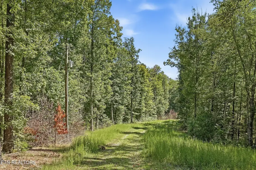 450 Pleasant Hill Cemetery Lane, Gainesboro, TN 38562 - #2