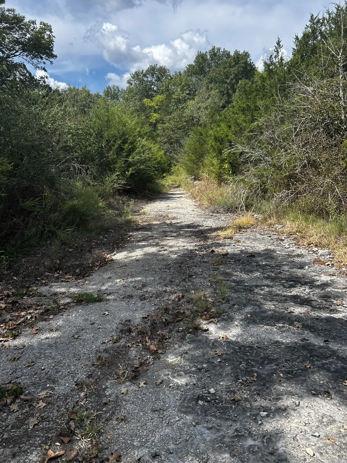0 Craig Moore Rd, Lewisburg, TN 37091 - #1