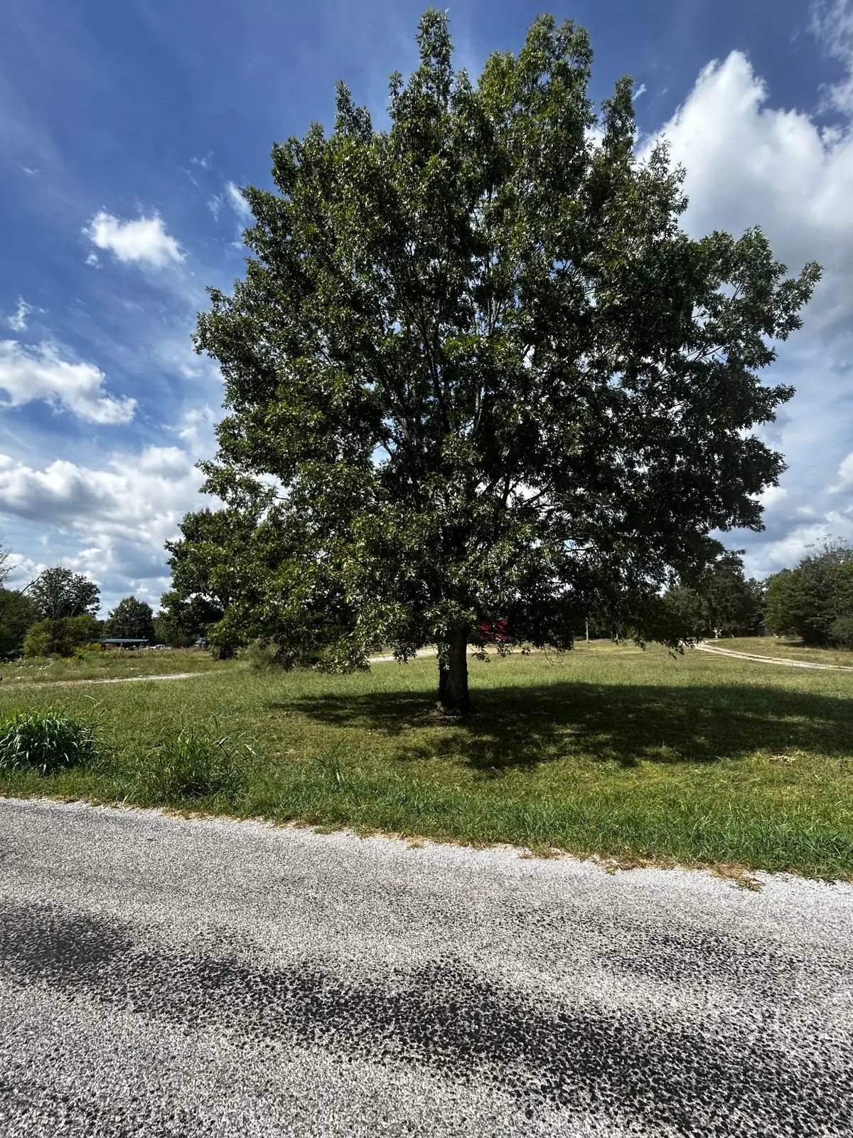 1171 Craig Moore Rd, Lewisburg, TN 37091 - #1