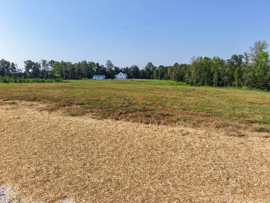 0 Bear Dr, Loretto, TN 38469 - #2