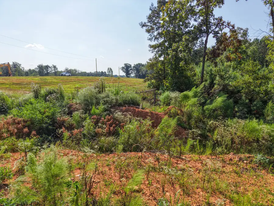 0 Bear Dr, Loretto, TN 38469 - #2