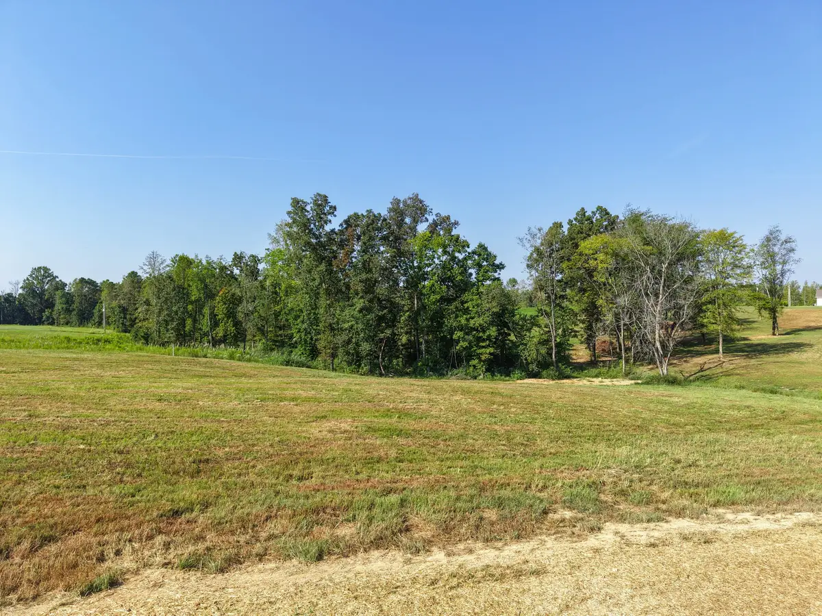 0 Bear Dr, Loretto, TN 38469 - #1