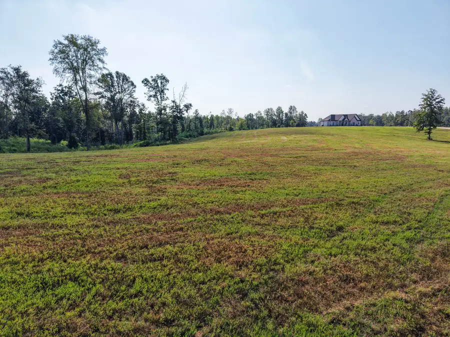 0 Bear Ln, Loretto, TN 38469 - #3