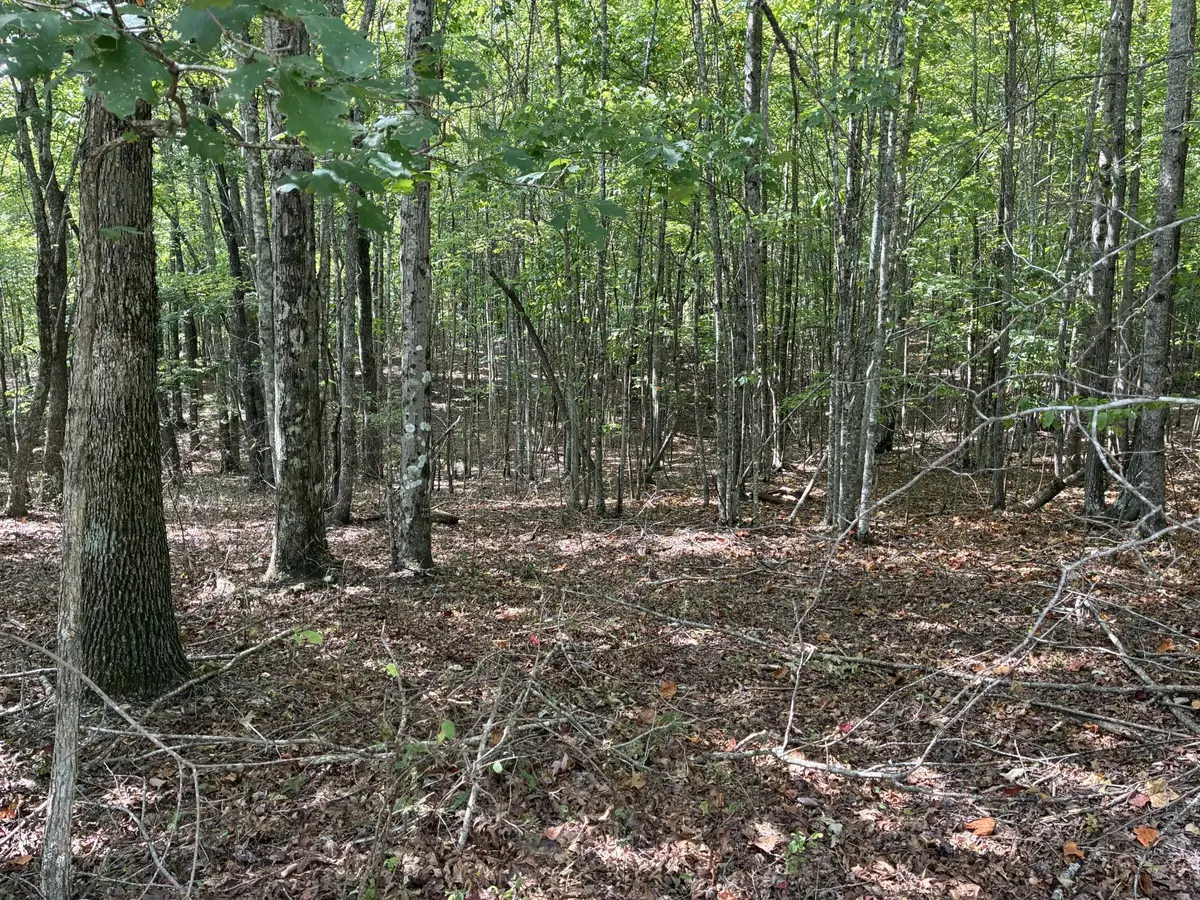 0 2 Lake Trail, Dunlap, TN 37327 - #1