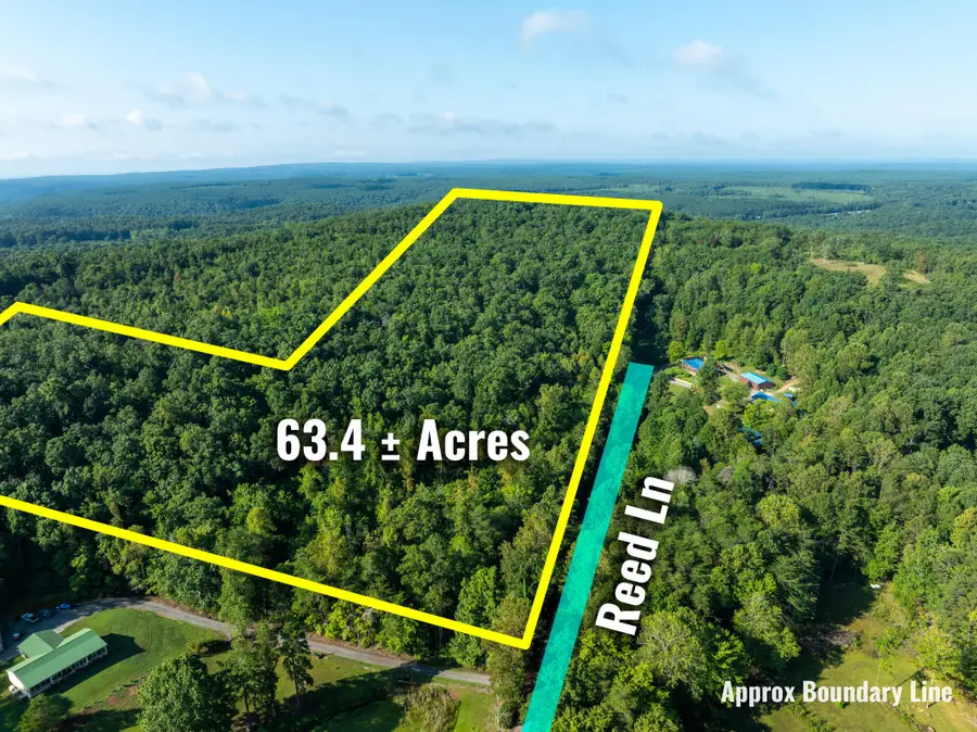 1967 Red Leaf Lane, Soddy Daisy, TN 37379 - #3