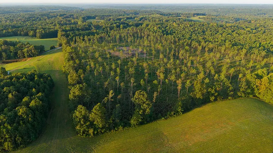 1 Gilchrist Road, Cypress Inn, TN 38452 - #3