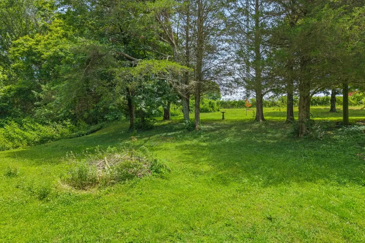 0 Buck Brown St, Englewood, TN 37329 - #1