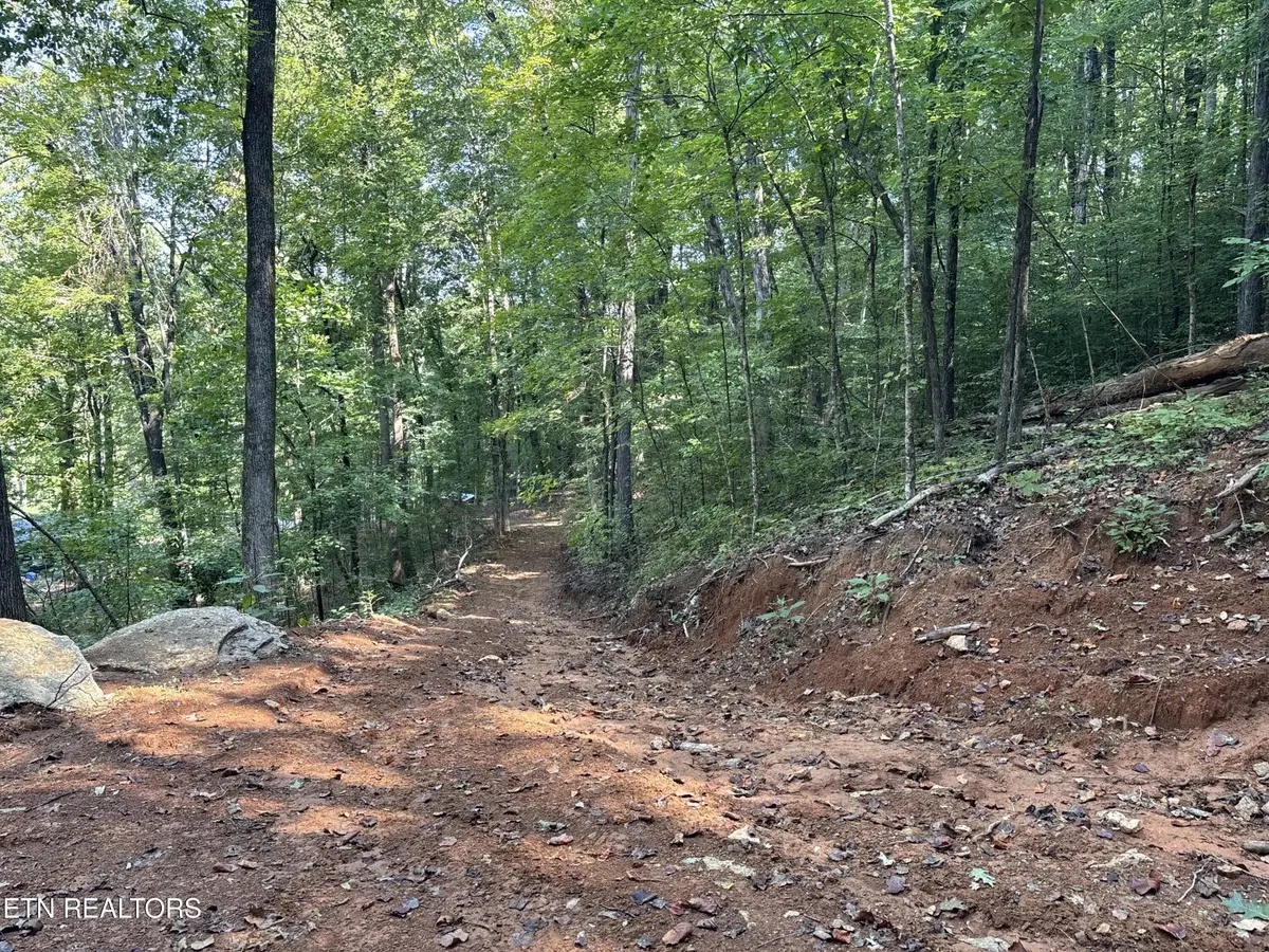 0 County Road 38, Riceville, TN 37370 - #1