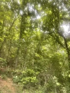 0 Meadow View Road, Sevierville, TN 37862 - #2