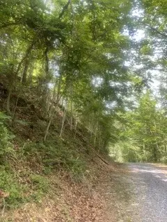 0 Meadow View Road, Sevierville, TN 37862 - #3