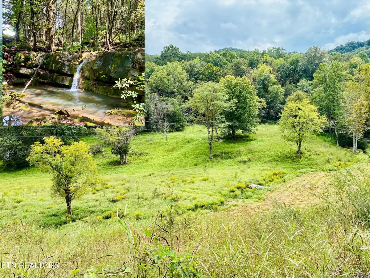0 Cantwell Valley Rd, Sneedville, TN 37869 - #1