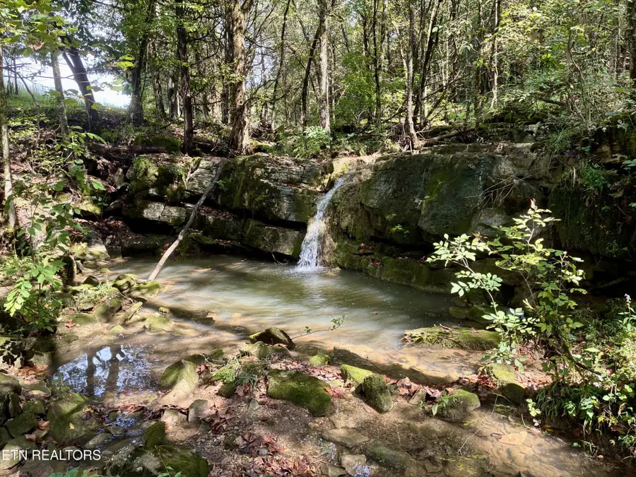 0 Cantwell Valley Rd, Sneedville, TN 37869 - #2