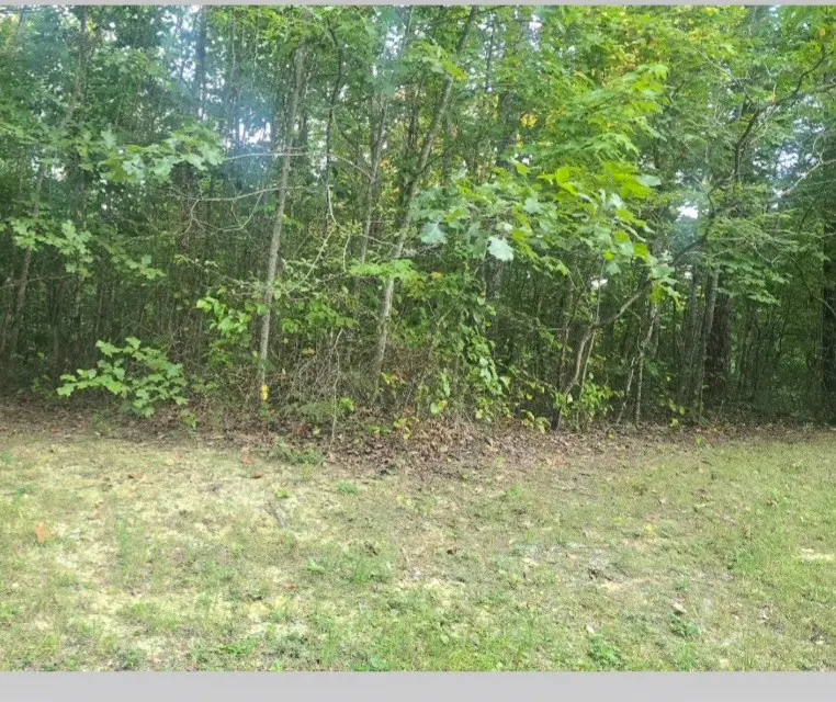 0 Calico Ln, Crawford, TN 38554 - #1
