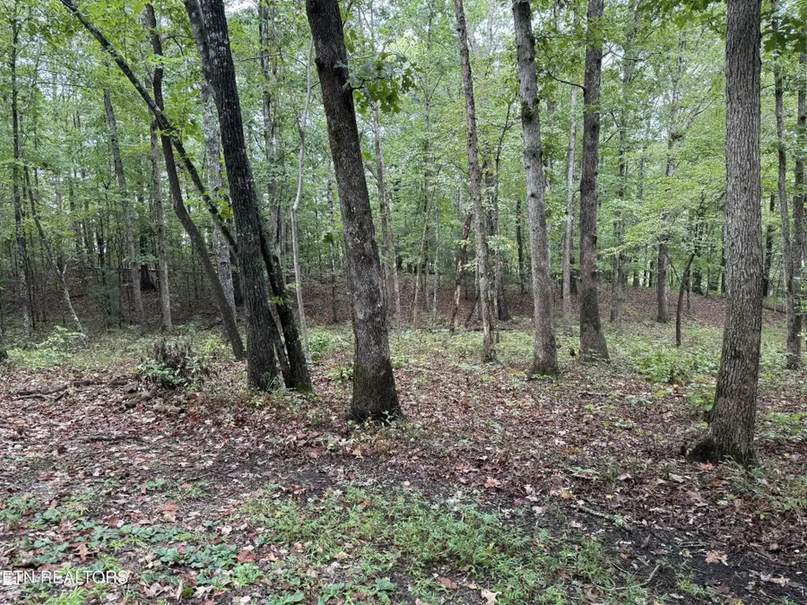113 Hunterwood Lane, Crossville, TN 38558 - #2