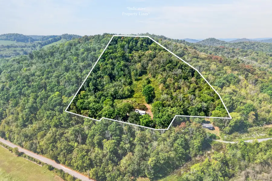 394 Lou Dr, Dowelltown, TN 37059 - #2