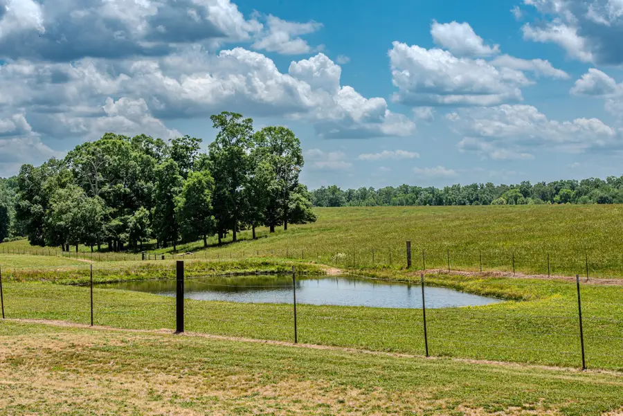 1198 David Patterson Rd, Lutts, TN 38471 - #3