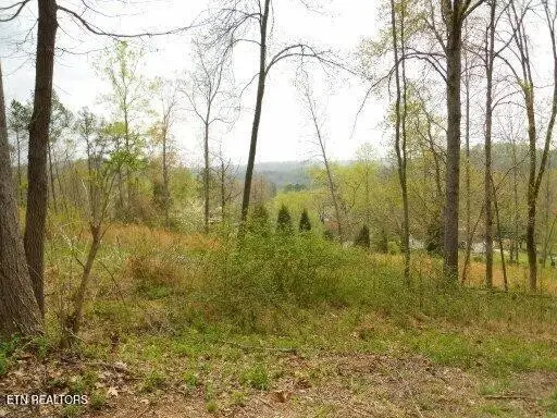 0 Vann Drive, Harriman, TN 37748 - #1