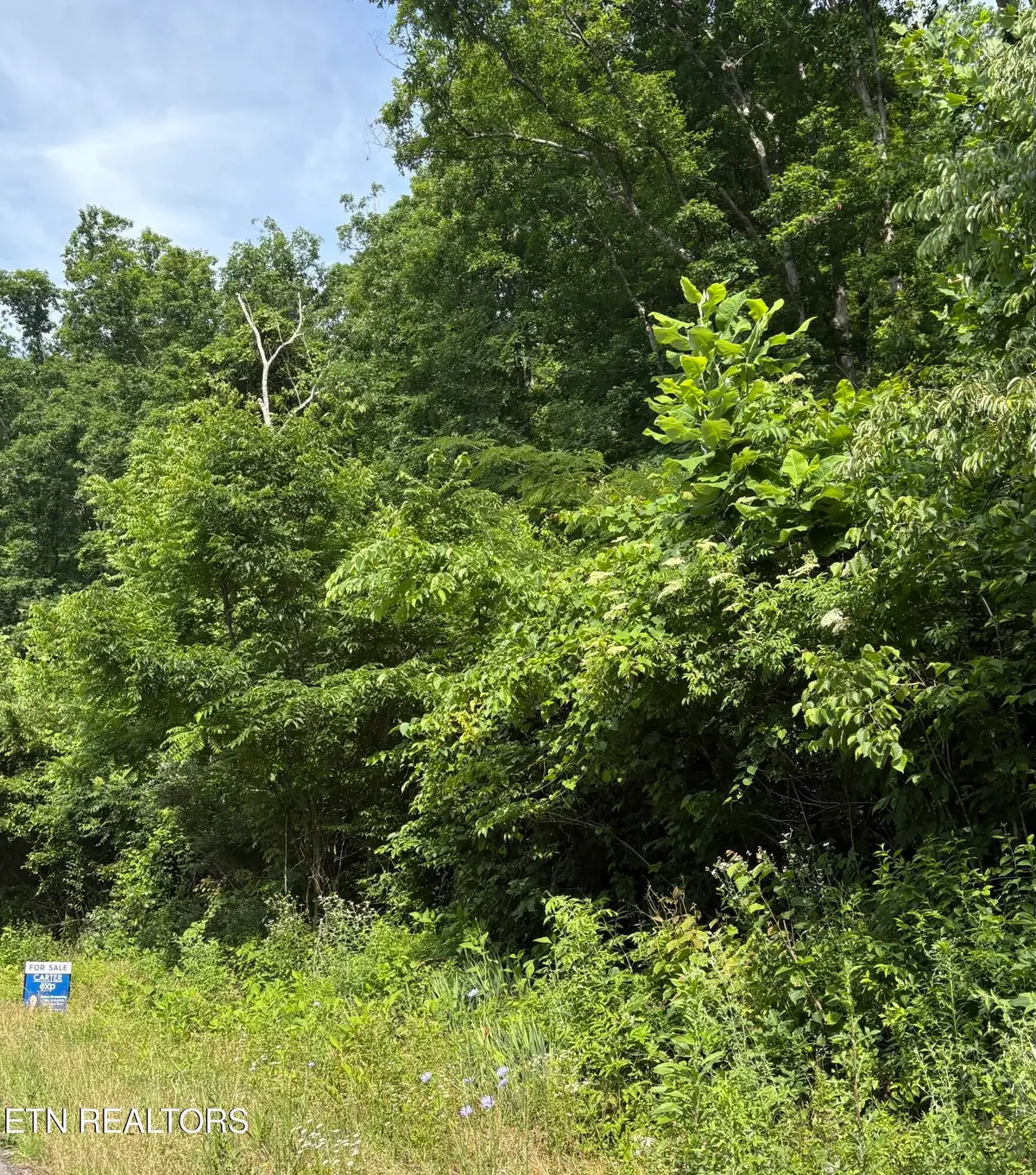 5787 Highway 297, Pioneer, TN 37847 - #1