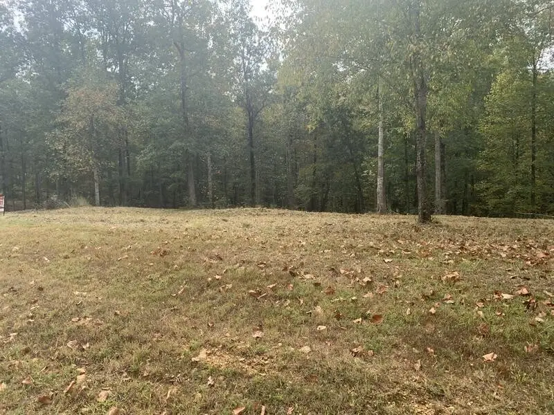 81 The Woodlands Of Nashville, McEwen, TN 37101 - #2