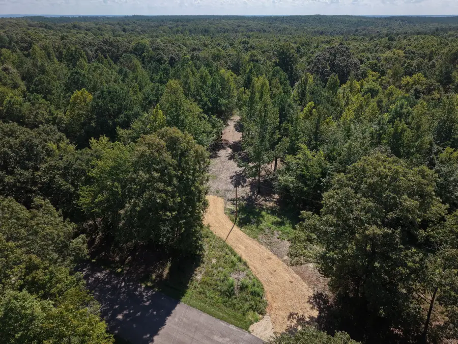 0 Point Mason Rd, Big Sandy, TN 38221 - #3