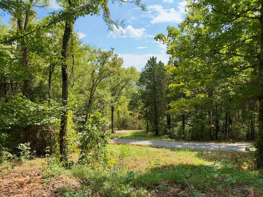 0 Ford Ln, Bradyville, TN 37026 - #3