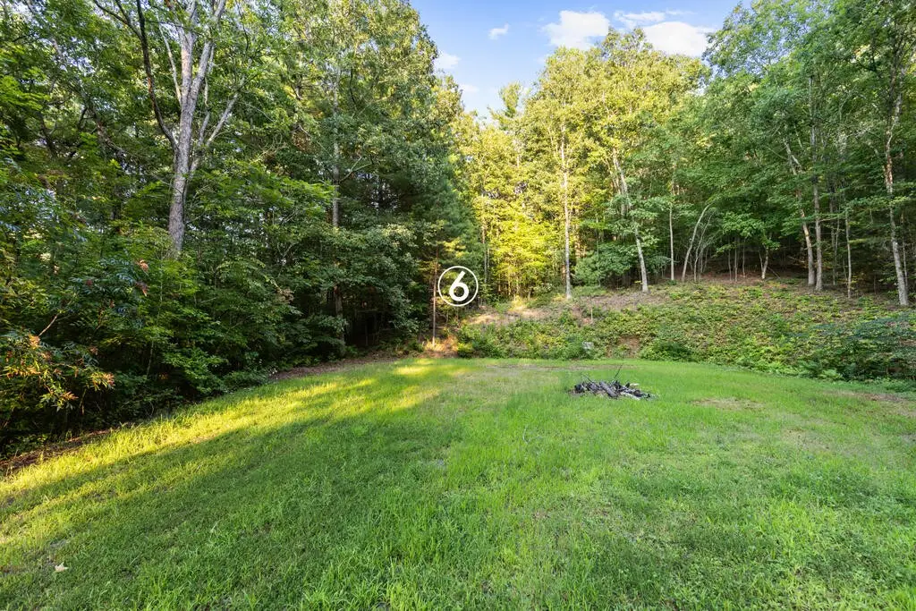 6 Timber Lane Court, Turtletown, TN 37391 - #1