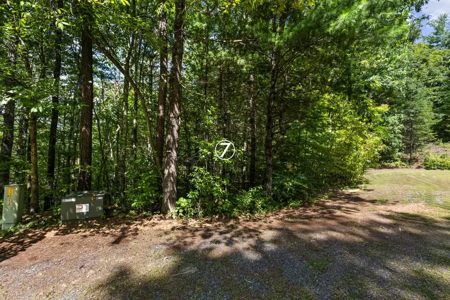 7 Timber Lane Court, Turtletown, TN 37391 - #3