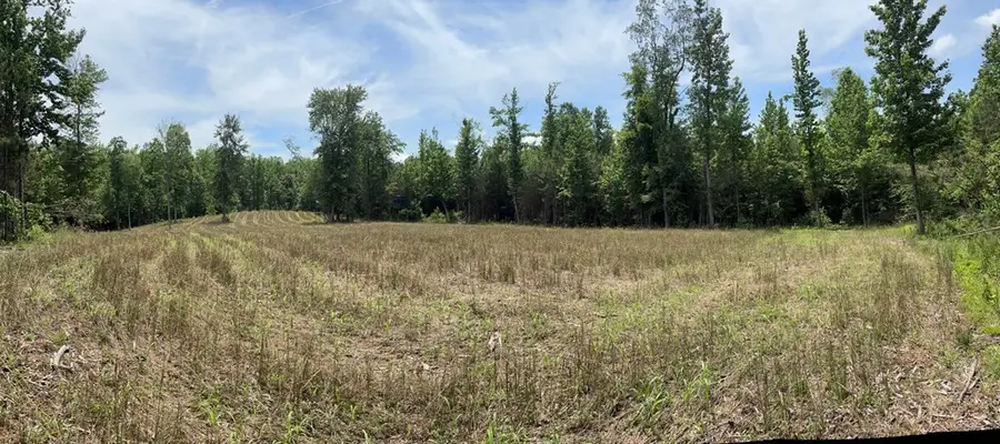 0 Hamilton Rd, Springville, TN 38256 - #2