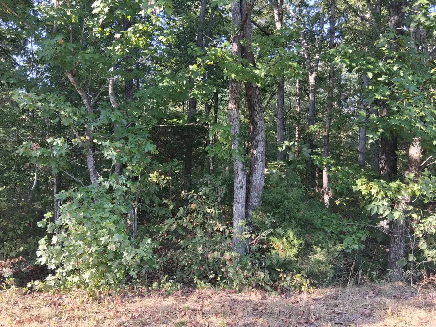 6080 Halls Creek Rd, Waverly, TN 37185 - #2