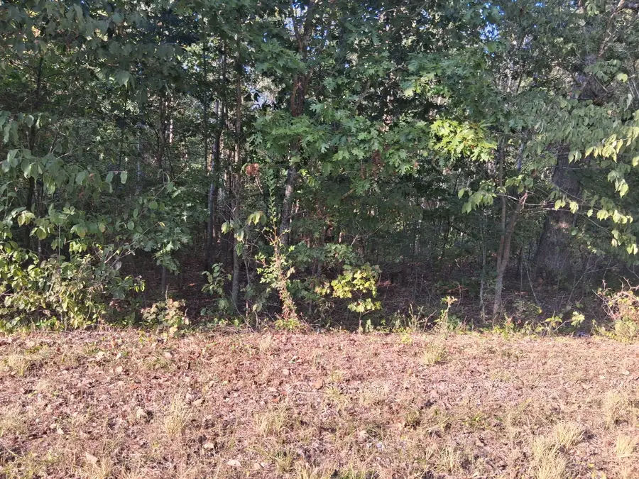 6080 Halls Creek Rd, Waverly, TN 37185 - #3