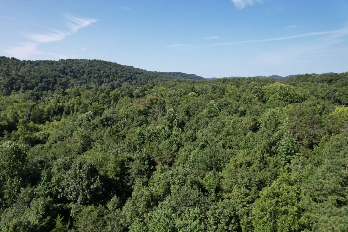 121 Frank Reed Rd, Spring City, TN 37381 - #1