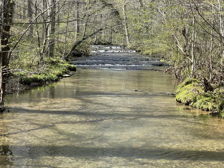 290 Prokesh Rd, Leoma, TN 38468 - #3