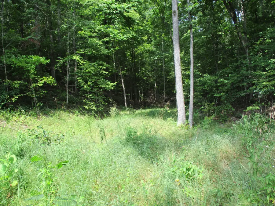 1613 Red Bank Creek Rd, Lobelville, TN 37097 - #2