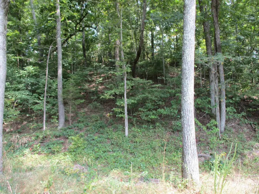 1613 Red Bank Creek Rd, Lobelville, TN 37097 - #3