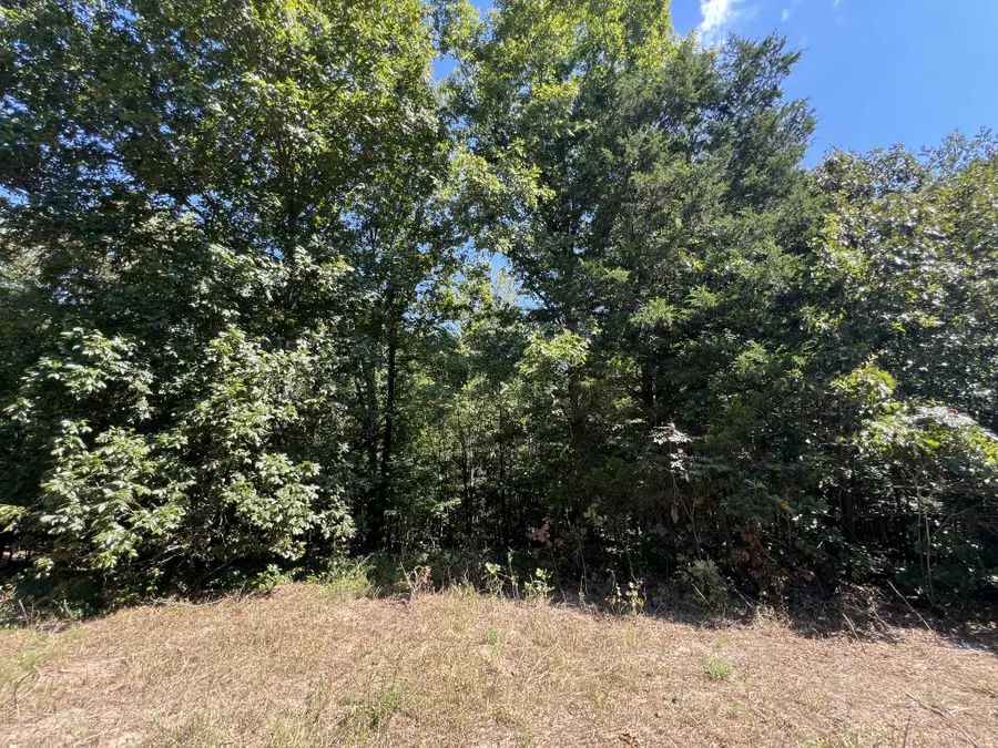 0 Piper Road, Bon Aqua, TN 37025 - #2