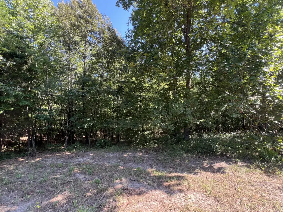 0 Piper Road, Bon Aqua, TN 37025 - #3