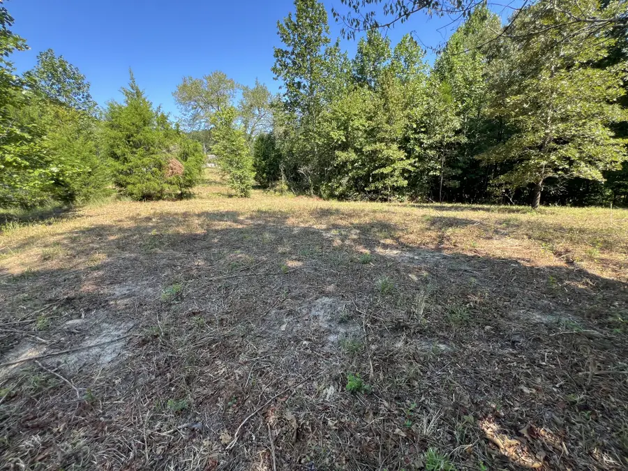 0 Piper Drive, Bon Aqua, TN 37025 - #3